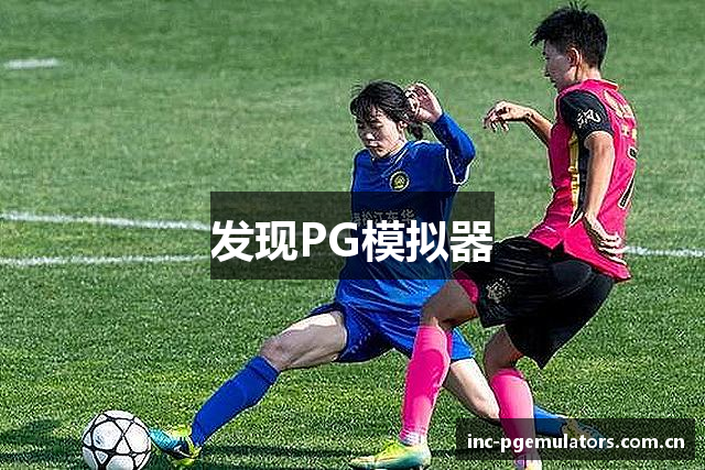 发现PG模拟器